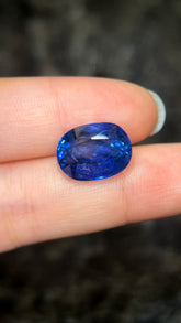 Ceylon Blue Sapphire (10.62 cts)